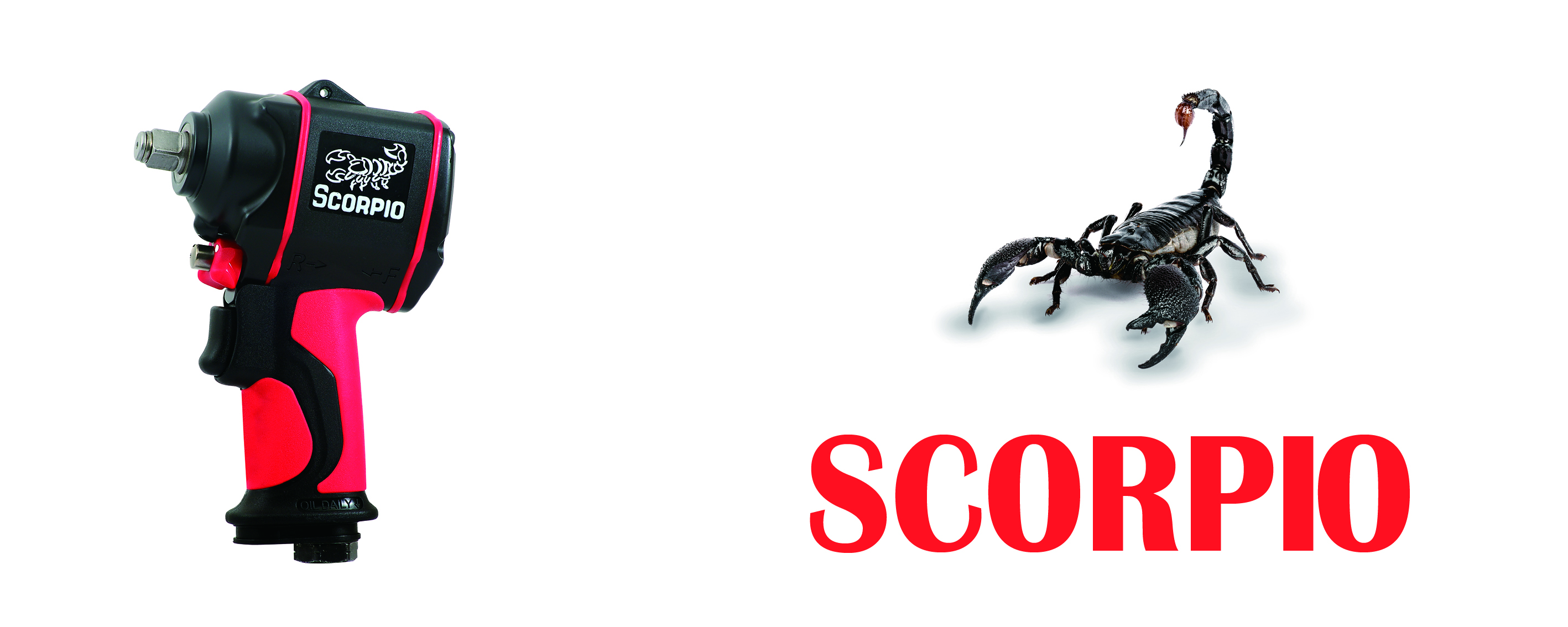 scorpio